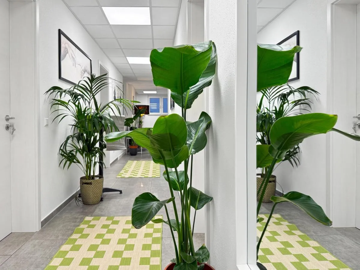 Image 2 of Gruppenfreundl Komfort Apt für 18 im Zentrum Stuttgarts