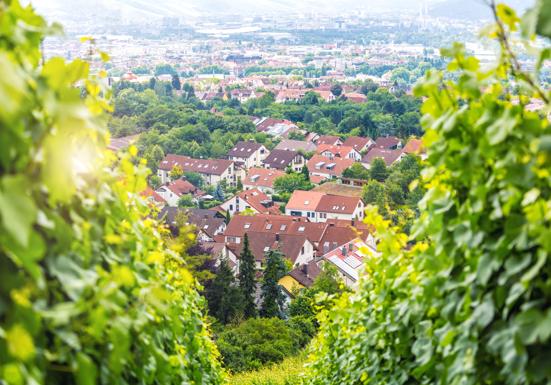 Stuttgart Wine Trail
